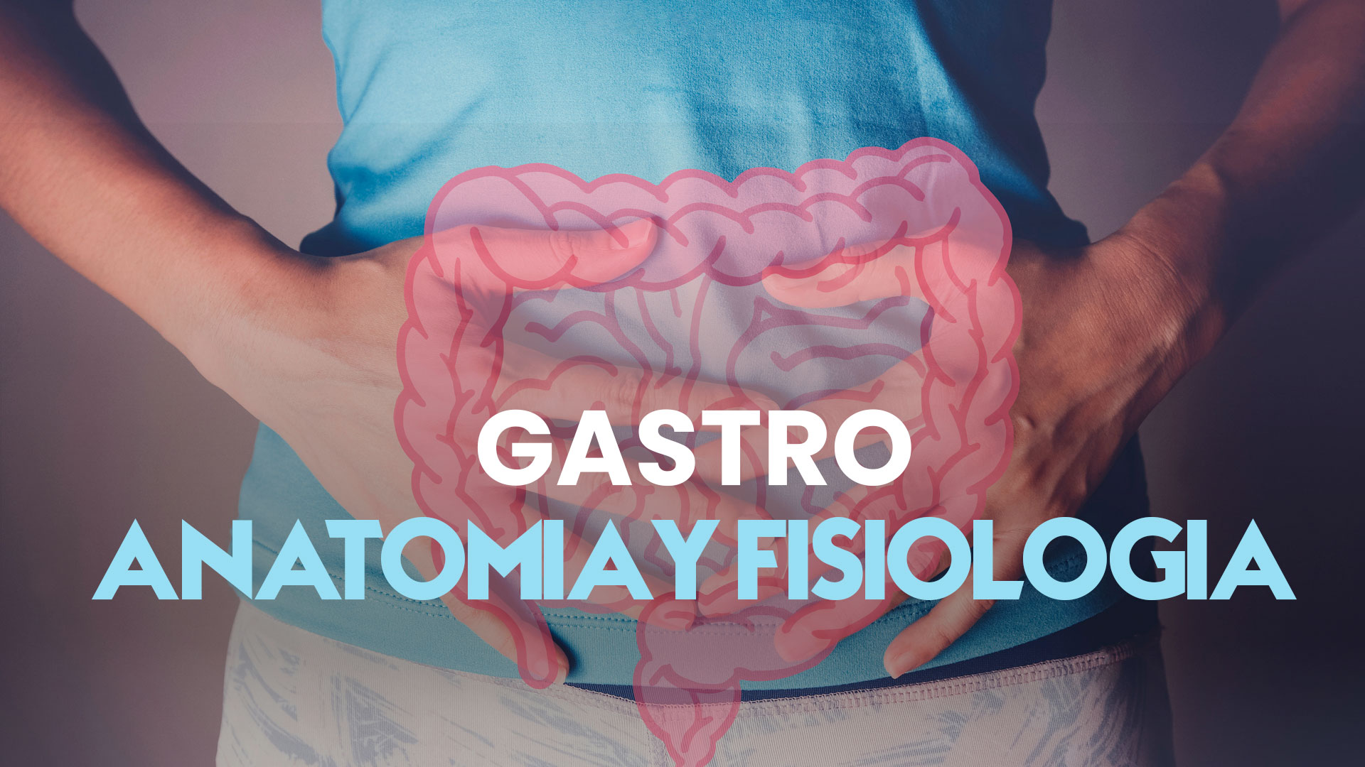 Gastro – Anatomía y fisiología