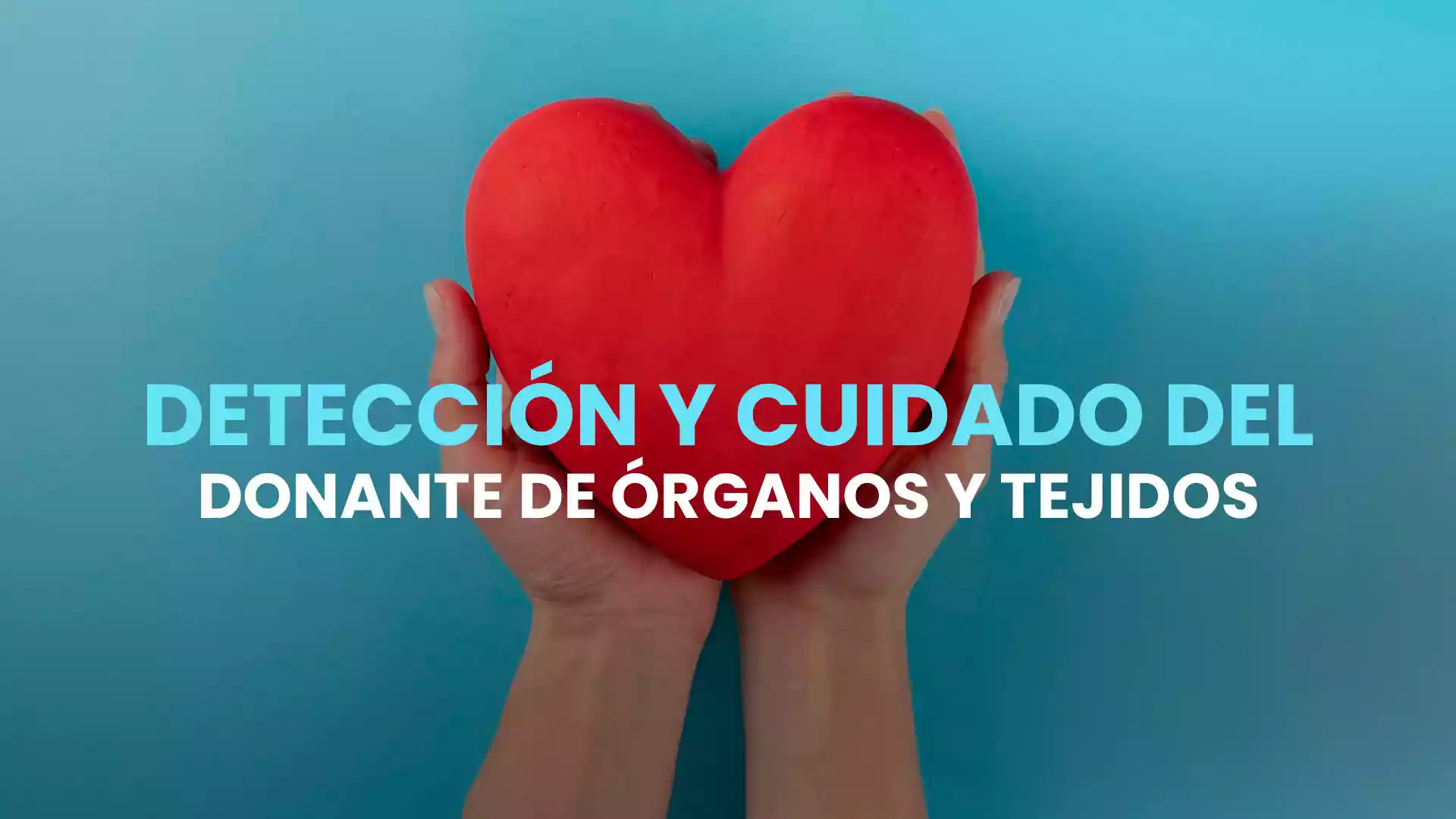 Detección y cuidado del donante de órganos y tejidos